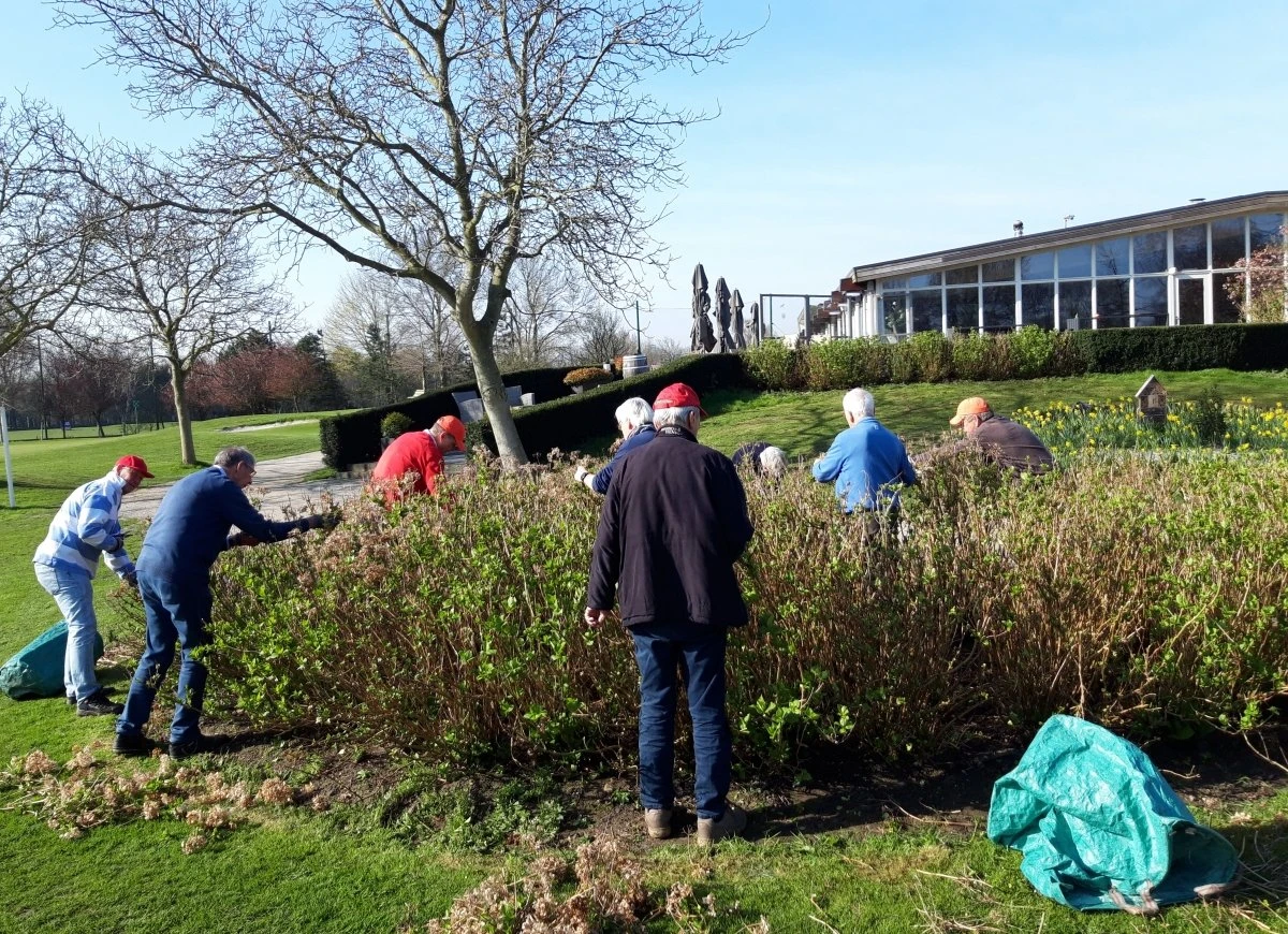Tuinclub en vrijwilligers hebben gesnoeid